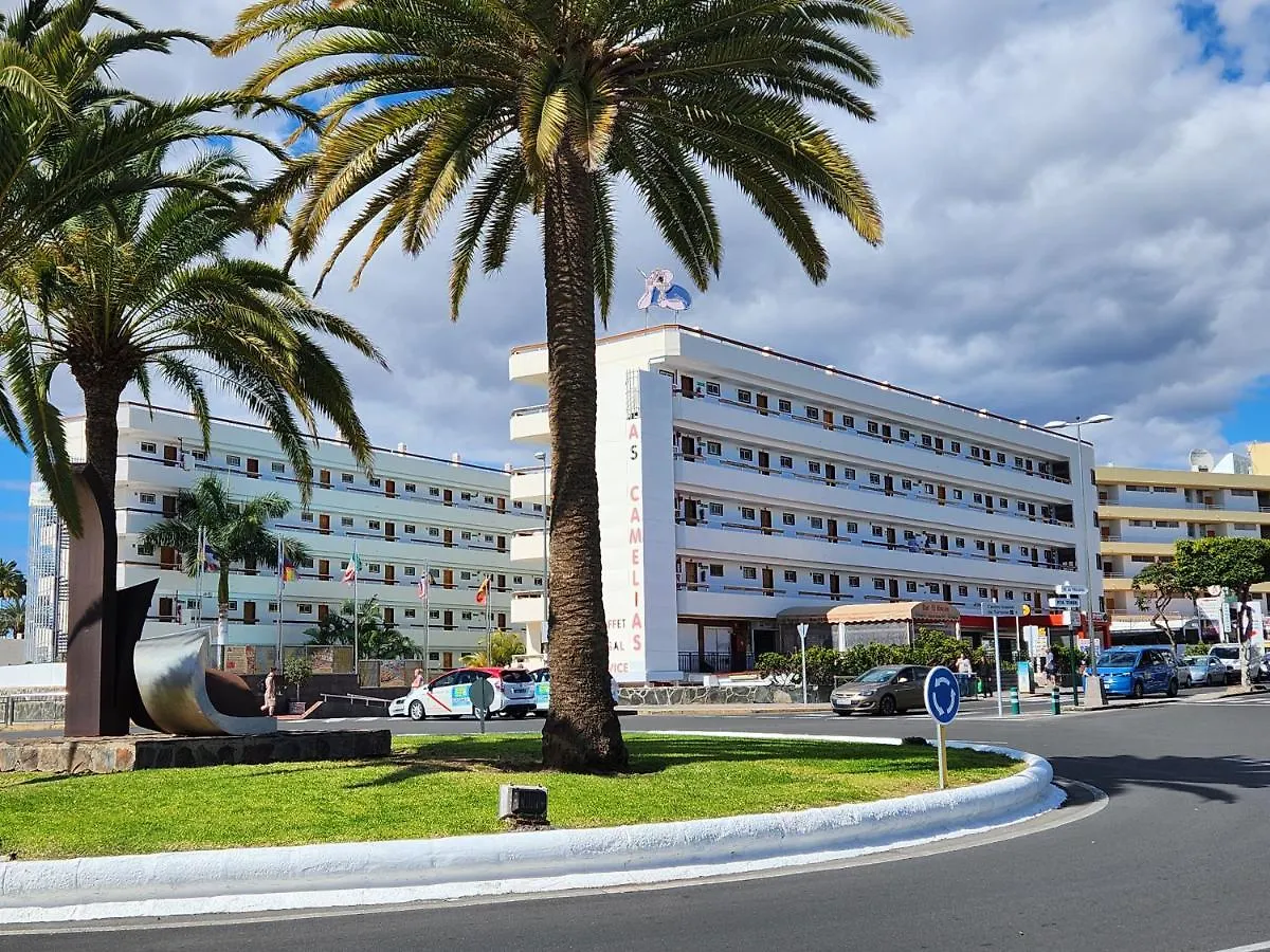 Las Camelias Apartments - Exclusive Apartment Playa del Ingles  Spain