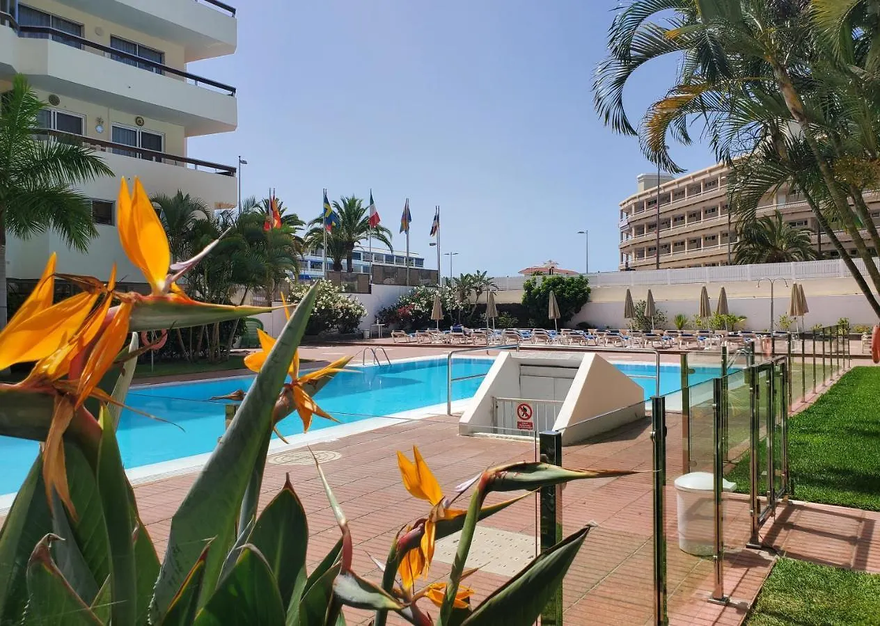 Las Camelias Apartments - Exclusive Apartment Playa del Ingles  Spain